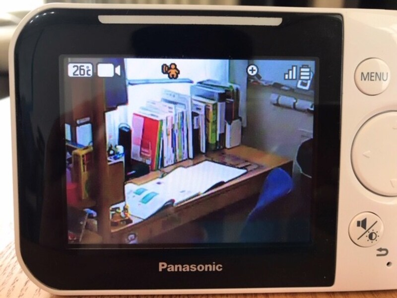 あれ? いなくなりましたけど…?