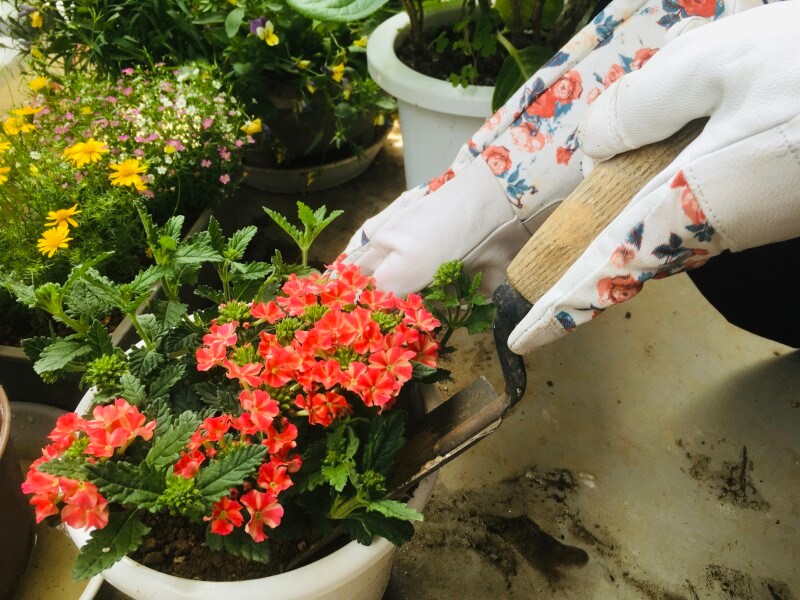 指先が革で、シャベルがつかみやすい