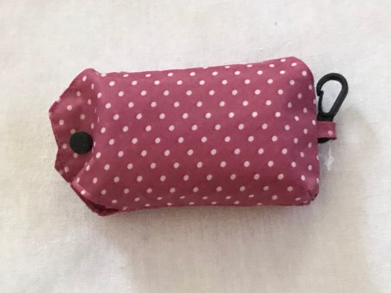 収納袋がついたダイソーのエコバッグ