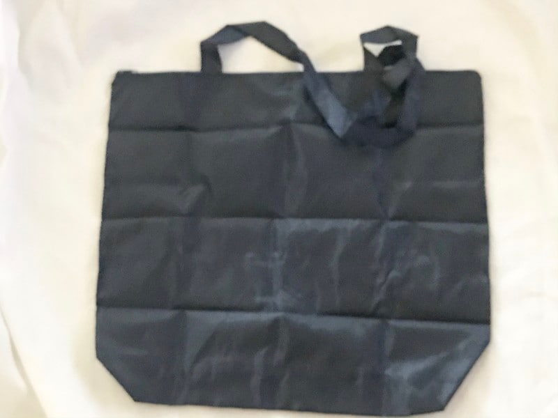 標準的な大きさのダイソーのエコバッグ
