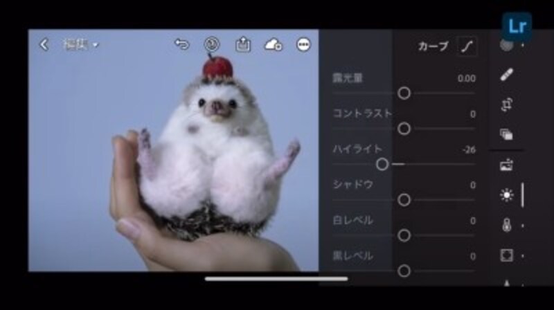 Adobe