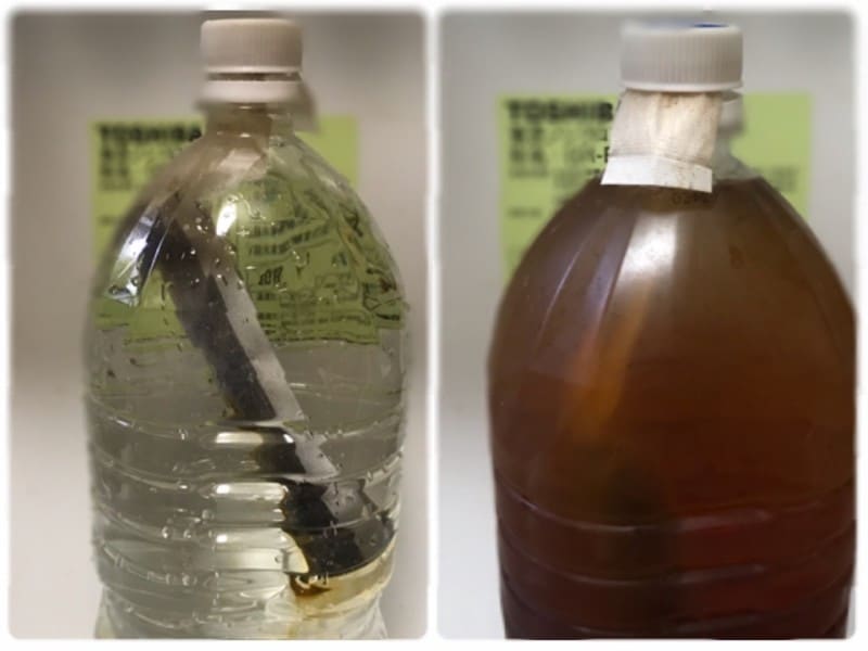 ダイソーおすすめティーパック