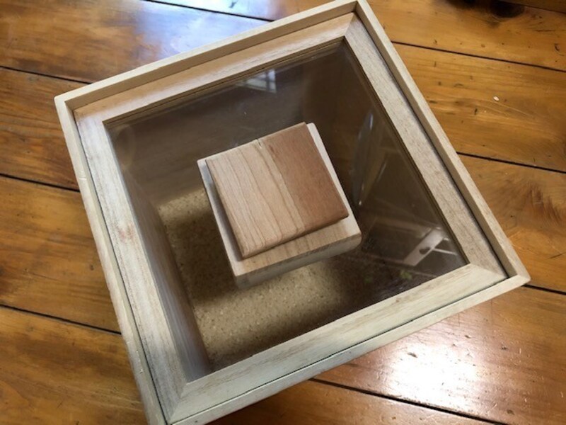 フタが透明なので、中身を一瞬で確認できる