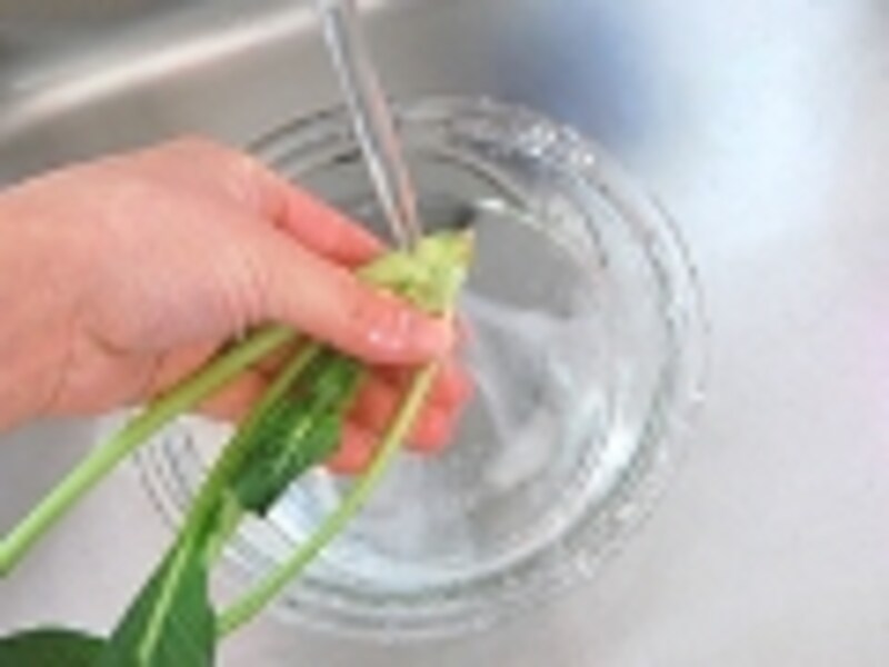 小松菜の洗い方