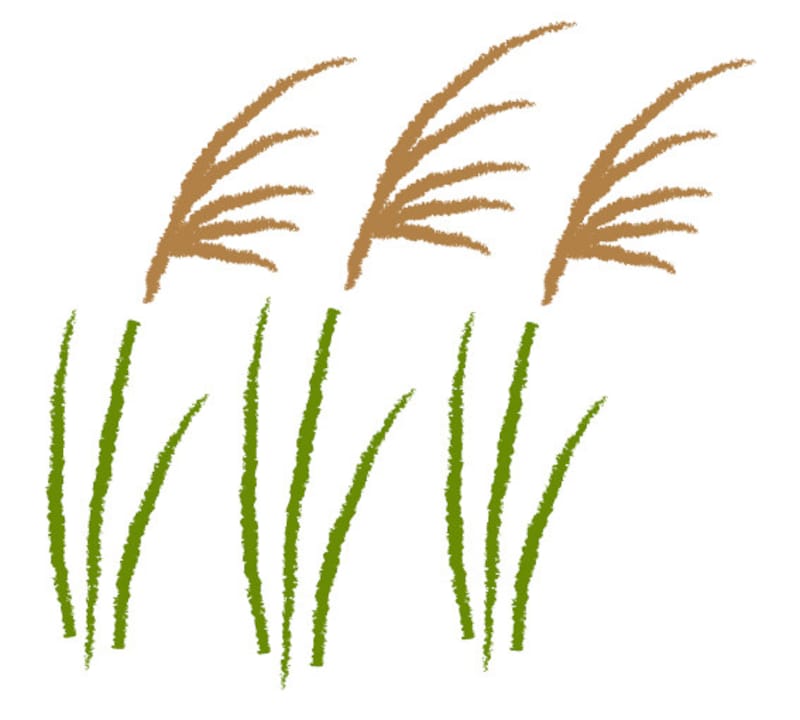 お月見イラスト  月見 十五夜 ススキ 無料 フリー かわいい カラー        