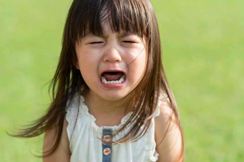 脅しの言葉に、子どもは最初、大泣きして、言うことをききますが、しつけは身についていません