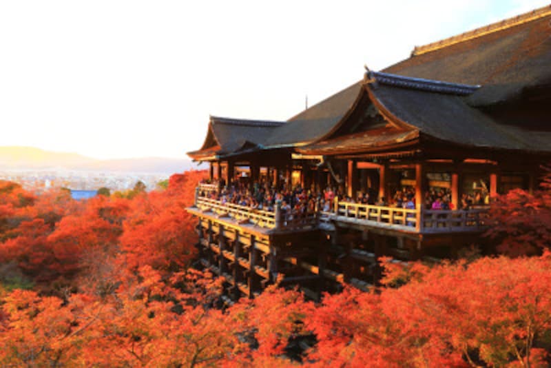 2020年 京都の紅葉おすすめスポット20選 ライトアップがある人気名所から穴場まで 京都の観光 旅行 All About