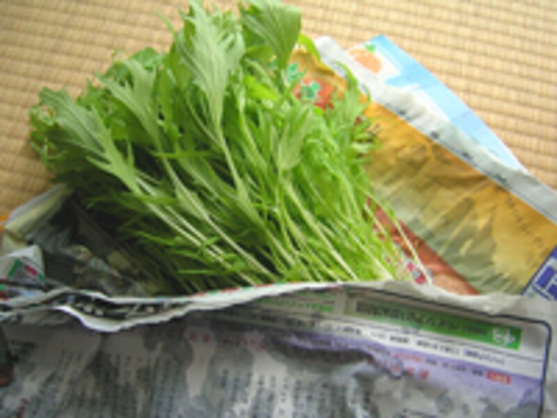 水菜の栄養 選び方 保存方法 毎日の野菜 フルーツレシピ All About 水菜の栄養 選び方 保存方法 毎日の野菜 フルーツレシピ All About
