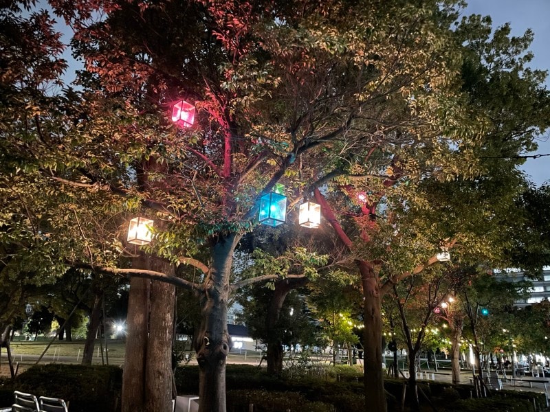 ナイトモードPro