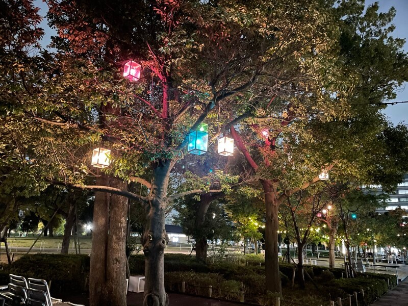 ナイトモードmini