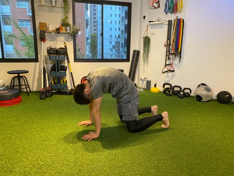 step 2. 四つ這いのまま腰と背中をしっかり丸めます。