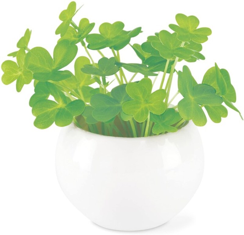 KISHIMA「クローバー 消臭アーティフィシャルグリーン」(出典:Amazon)