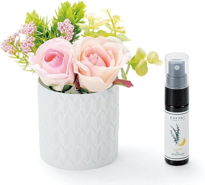 アペックスハート「ハニー(ENERGY)」(出典:Amazon)