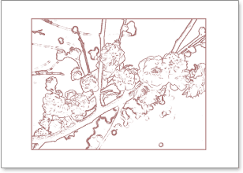 塗り絵の下絵を作ってみよう Cg 画像加工 All About 塗り絵の下絵を作ってみよう Cg 画像加工 All About