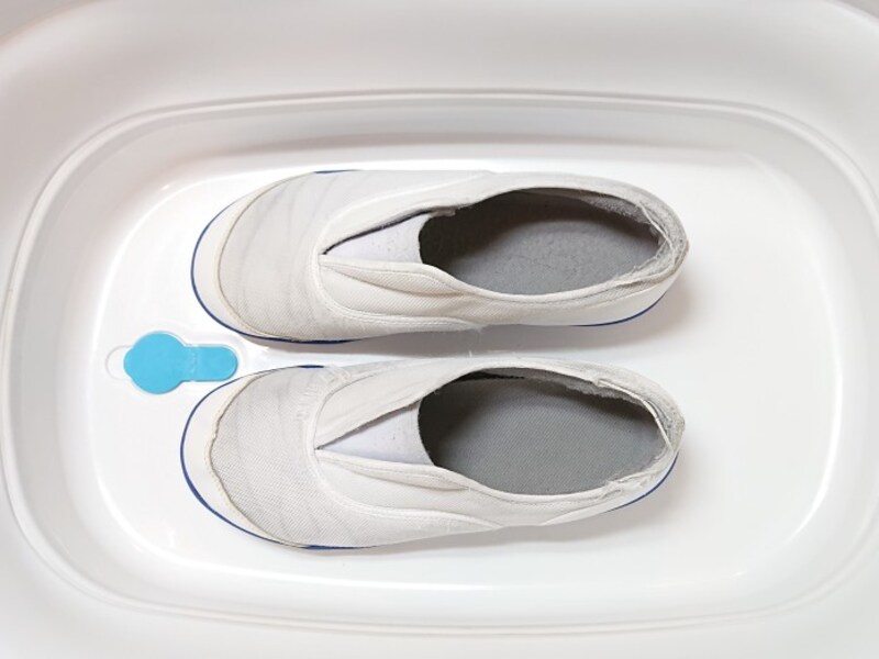 真っ黒な上履きを 白く 復活させた 家事アドバイザーの洗濯指南書 洗濯 All About