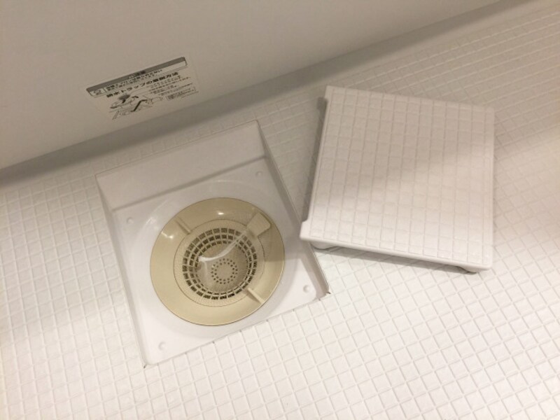 洋室排水口の掃除