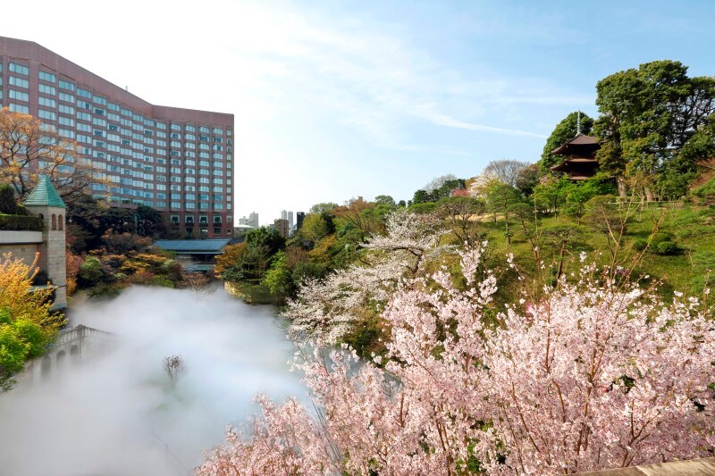 ホテル椿山荘東京の桜
