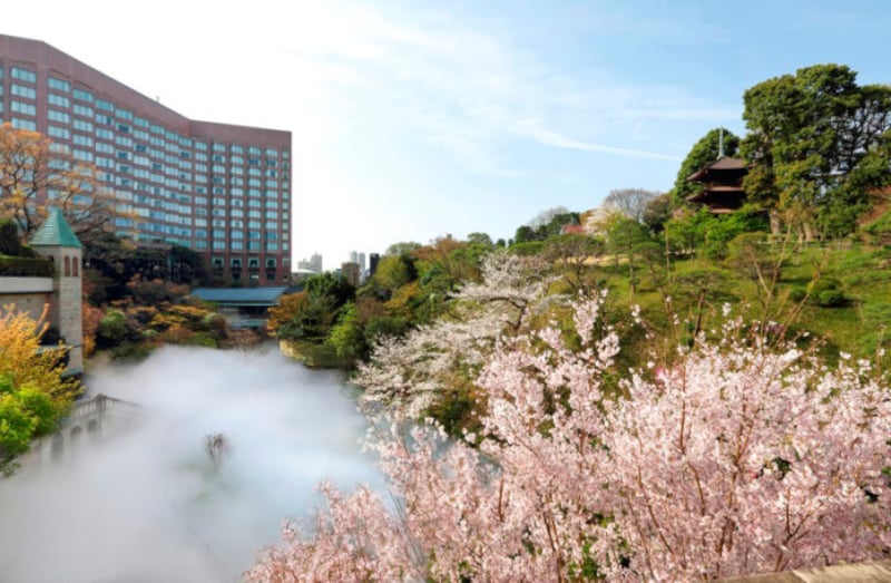 2021年の東京の桜の開花はかなり早め、3月17日あたりとのこと（画像:ホテル椿山荘東京）