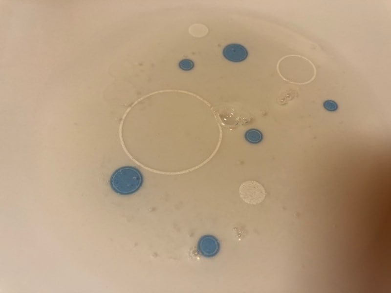 水ようかんの水分