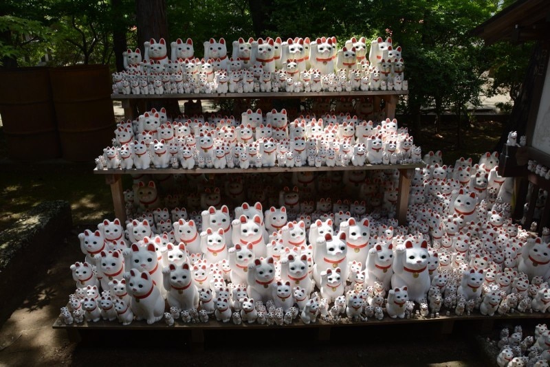 豪徳寺の招き猫