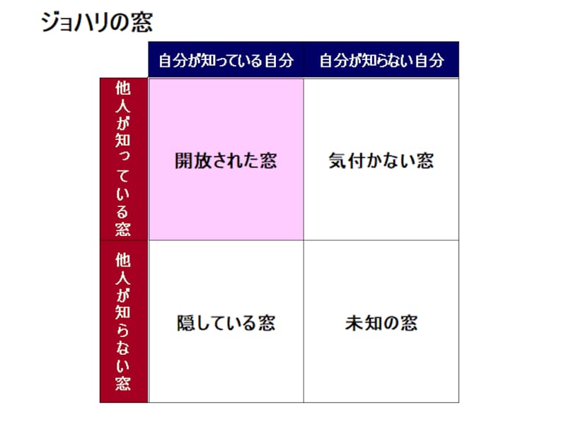 キャリアパスポート ジョハリの窓 自己分析