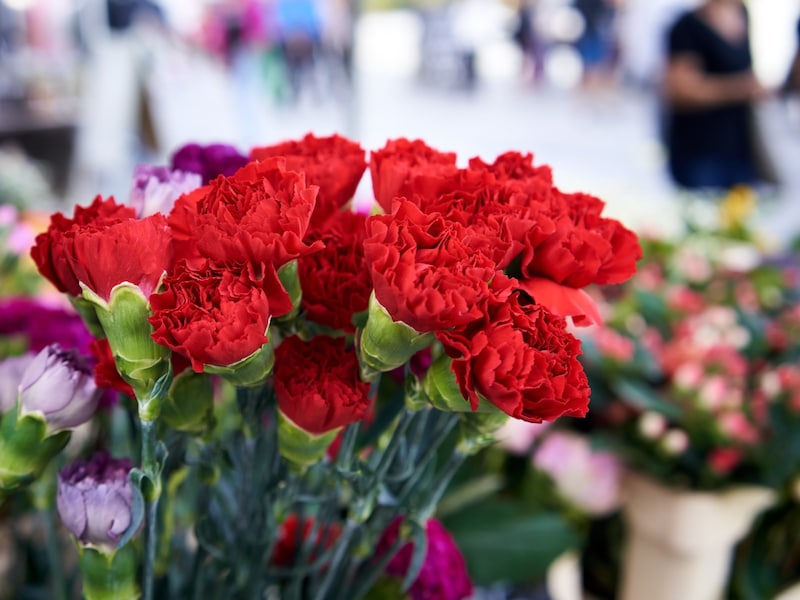 母の日の本当の由来は?