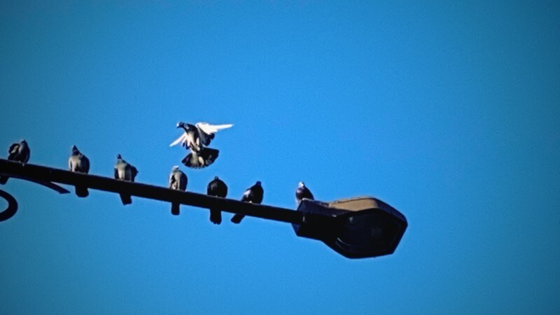 Dispo講座その3の9