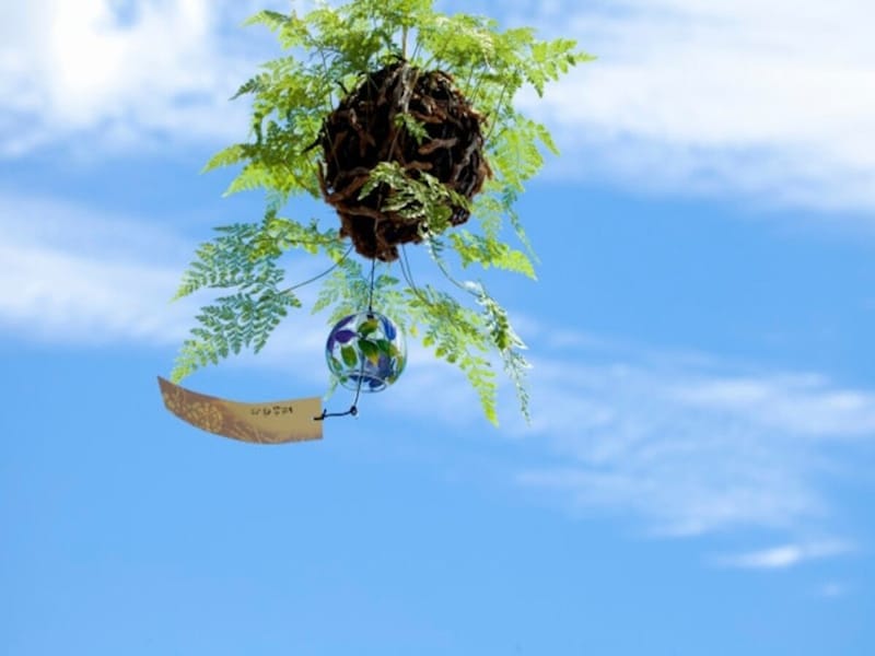 あつい風が吹いてきて、蒸し暑くなってきます