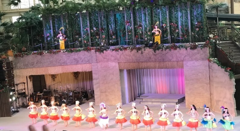 スパリゾートハワイアンズ　フラガール　オンラインフラレッスン