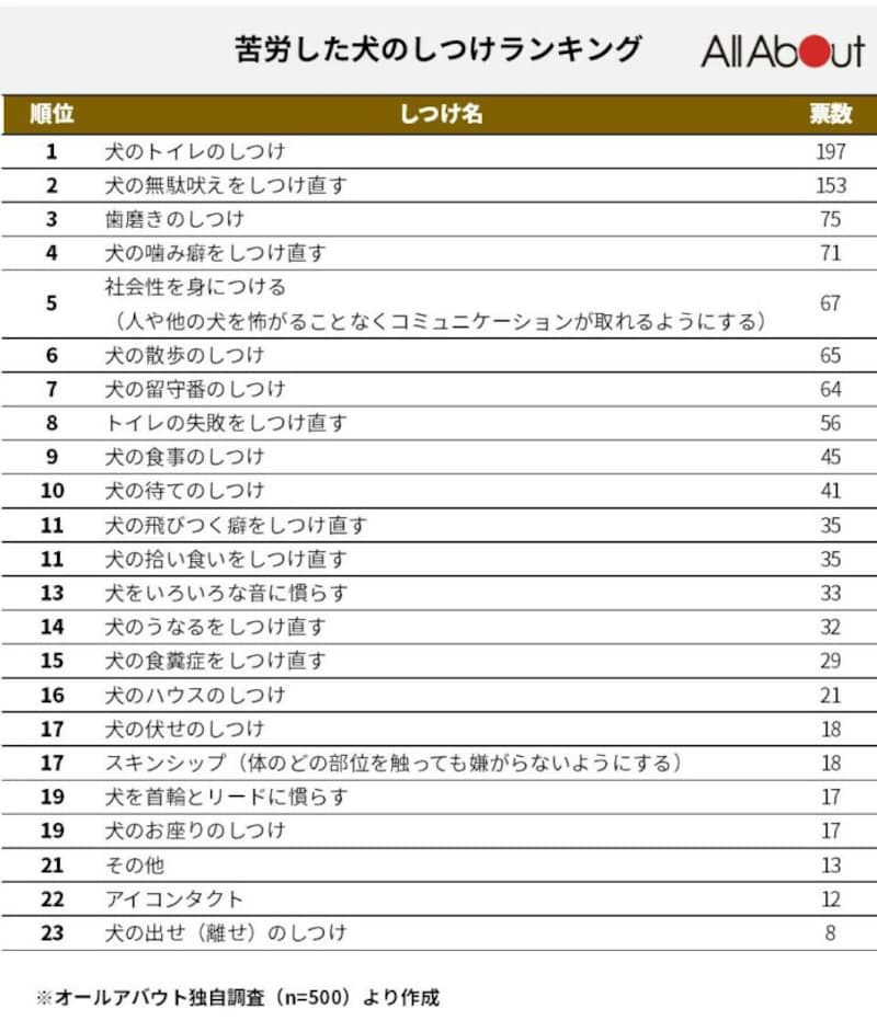 飼い主が苦労した犬のしつけランキング 3位 歯磨き 2位 無駄吠え 断トツ1位は 犬 All About