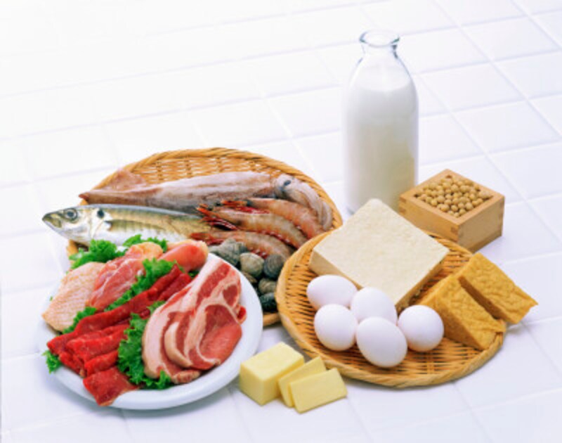 たんぱく質を多く含む食品