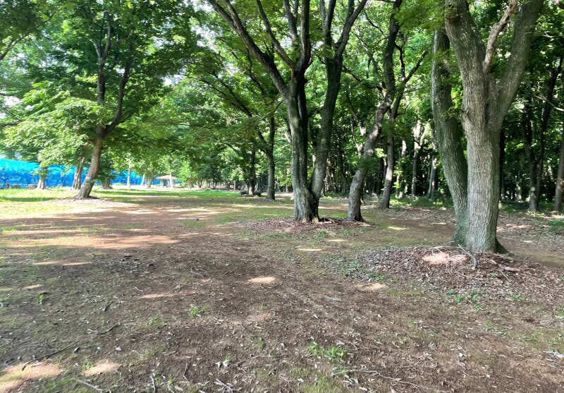 木陰や屋根の下などで日差しを避けて休もう