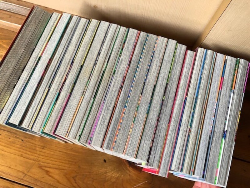 全体を撮ると日焼け部分が分かりやすい