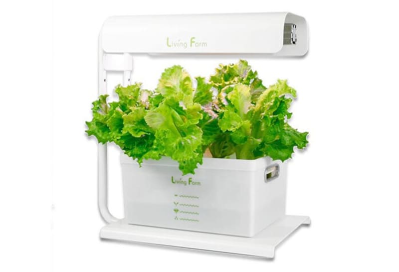 2 2 植物や野菜を家電で育てるのがニューノーマル おすすめの家電は 生活家電ニュース All About