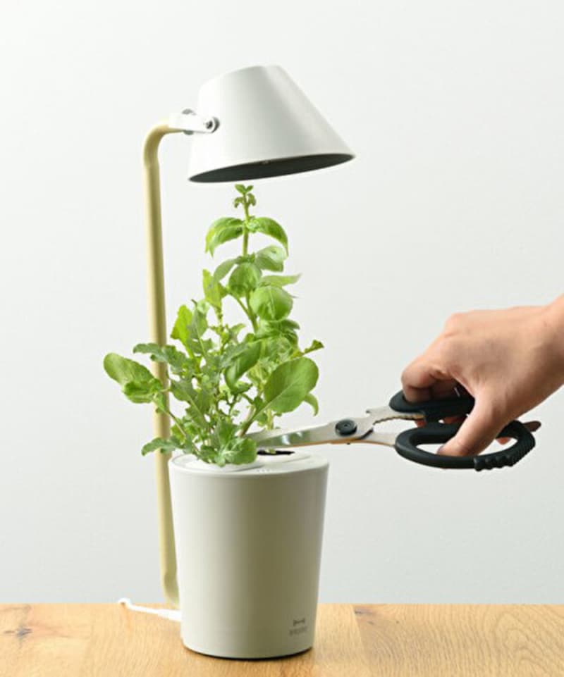 BRUNO「水耕栽培キット STAND BY GREEN」7150円。LED単体でデスクライトとしても使えます