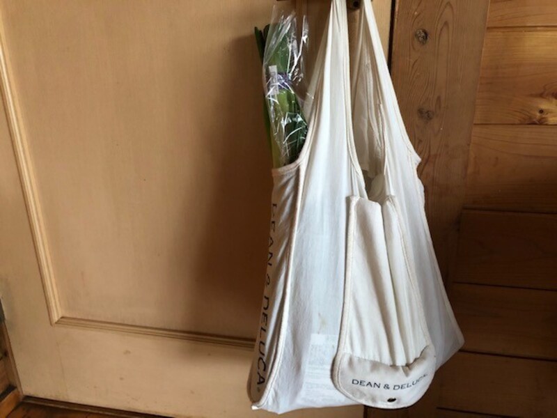 エコバックのサイズによっては容器は見えない