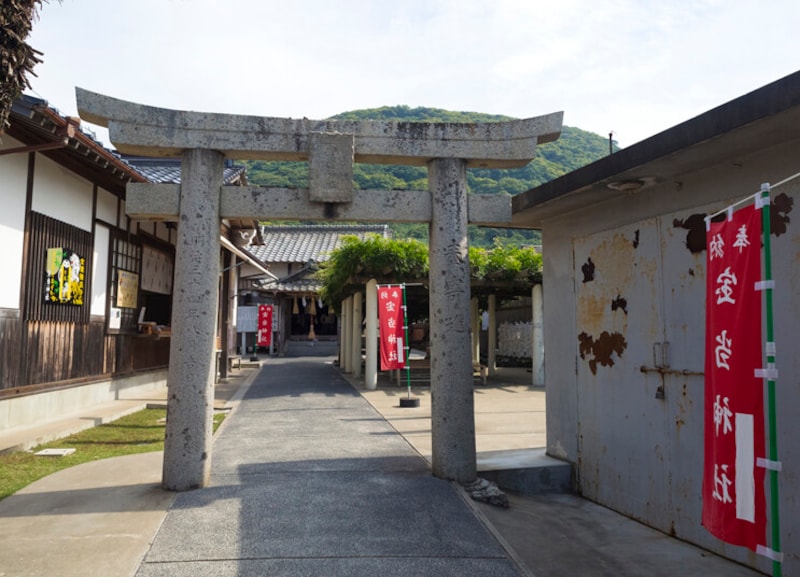 急ぐことが好ましいため、買うなら午前中はOK。午後は悪いのでやめておきましょう