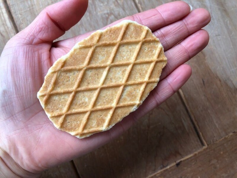 手のひらと比較