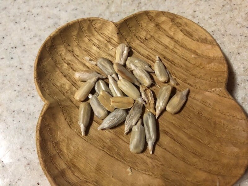 殻をむいたひまわりの種