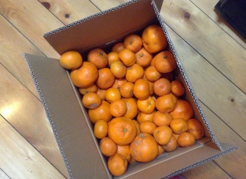 量が多い場合には箱売り