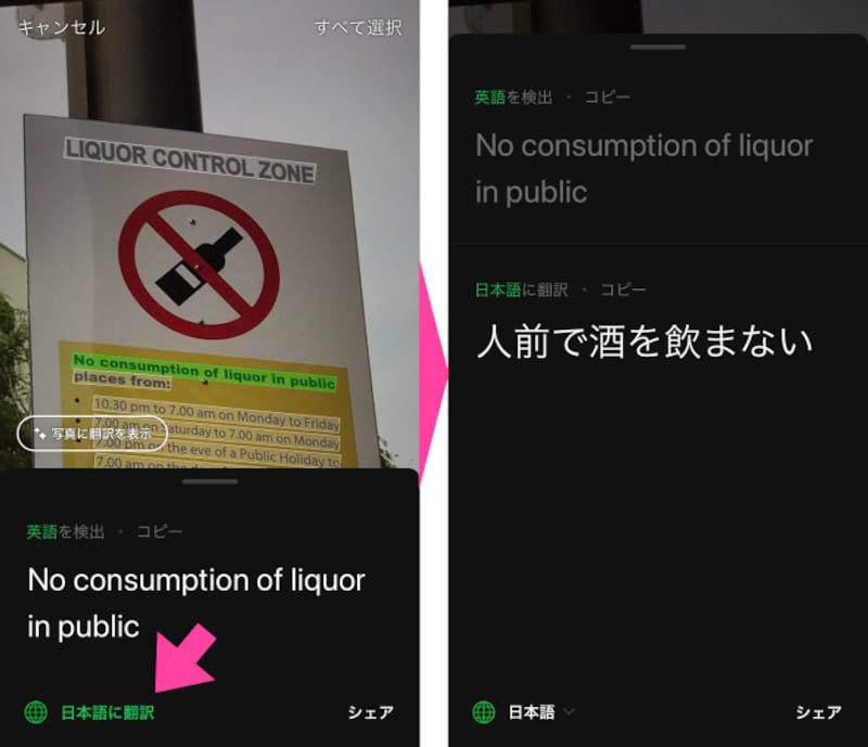 緑色にマーキングされた文章の中から、訳したい箇所だけを訳すことも可能