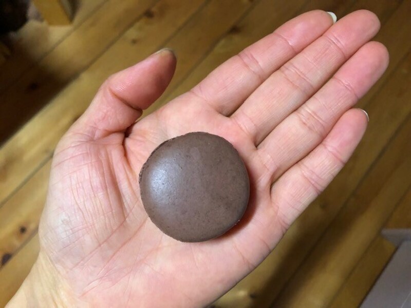 手に乗せてサイズ比較