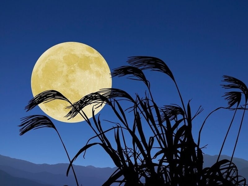 平安貴族は池に映る月を鑑賞していました