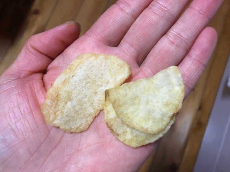 手に乗せてサイズ比較