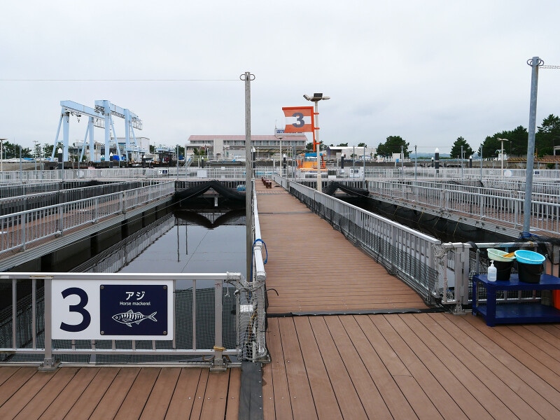 魚釣りが楽しめる「フィッシャーマンズオアシス」