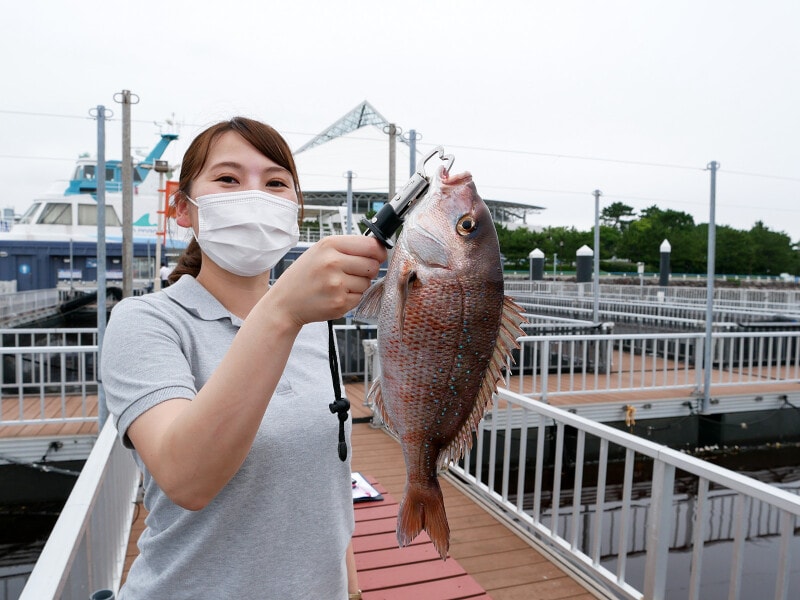 釣り初心者でもこんなに大きなマダイが釣れました！（スタッフの方に持ってもらってパチリ）