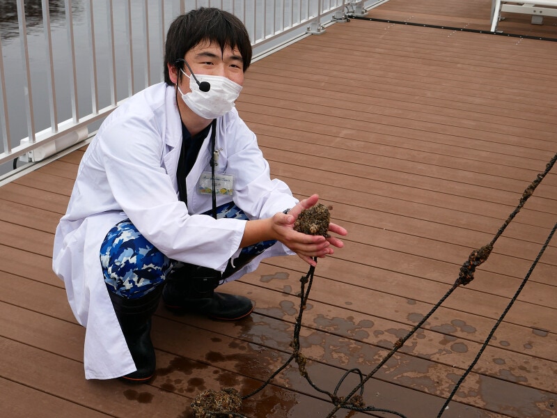 オーシャンラボで暮らす生きものを観察しながらのレクチャー