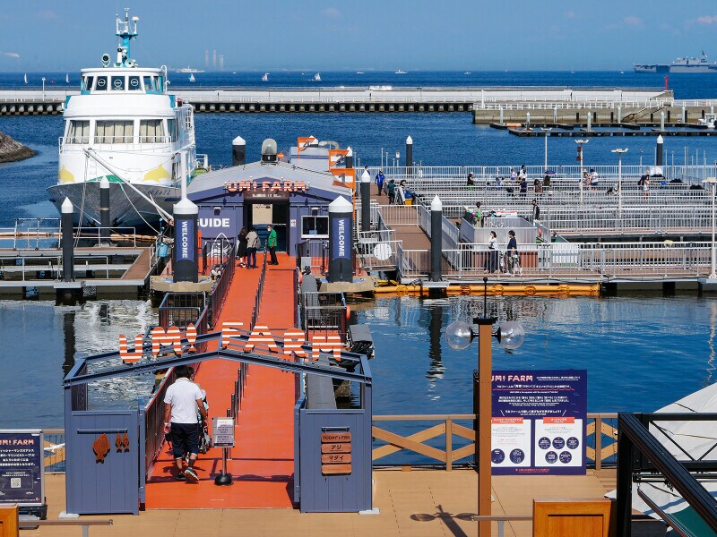 「うみファーム」は自然の海の上にある水族館