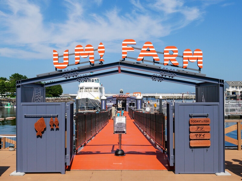  橋を渡って行ってみたくなるデザインに