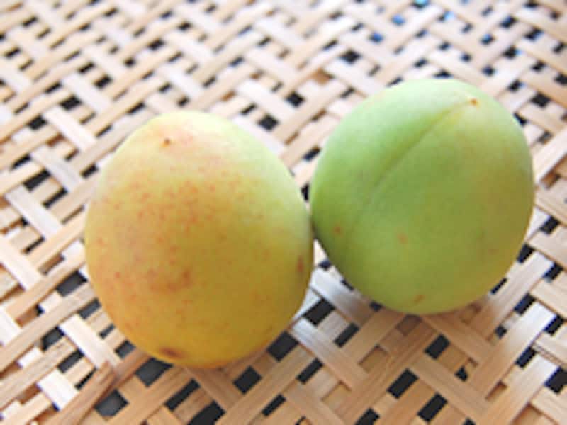 よい梅の選び方